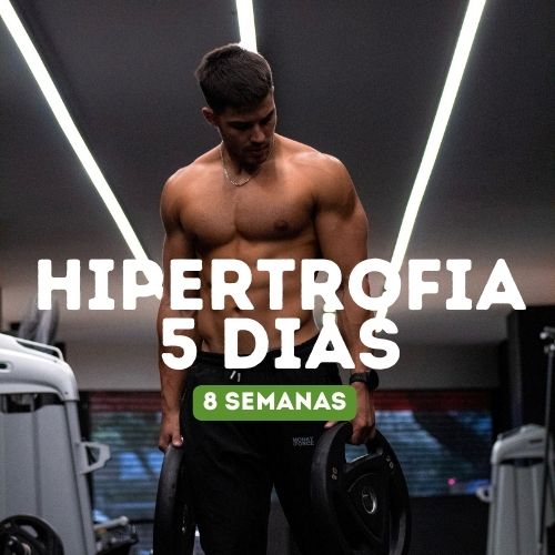 Programa de Hipertrofia